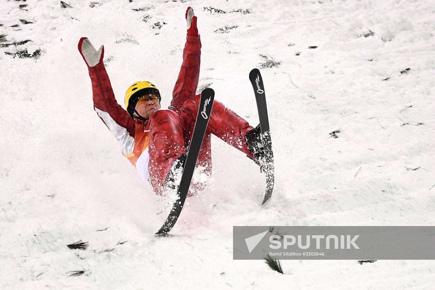 2018 Winter Olympics. Freestyle. Men. Aerials