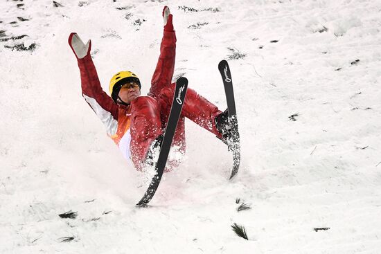2018 Winter Olympics. Freestyle. Men. Aerials