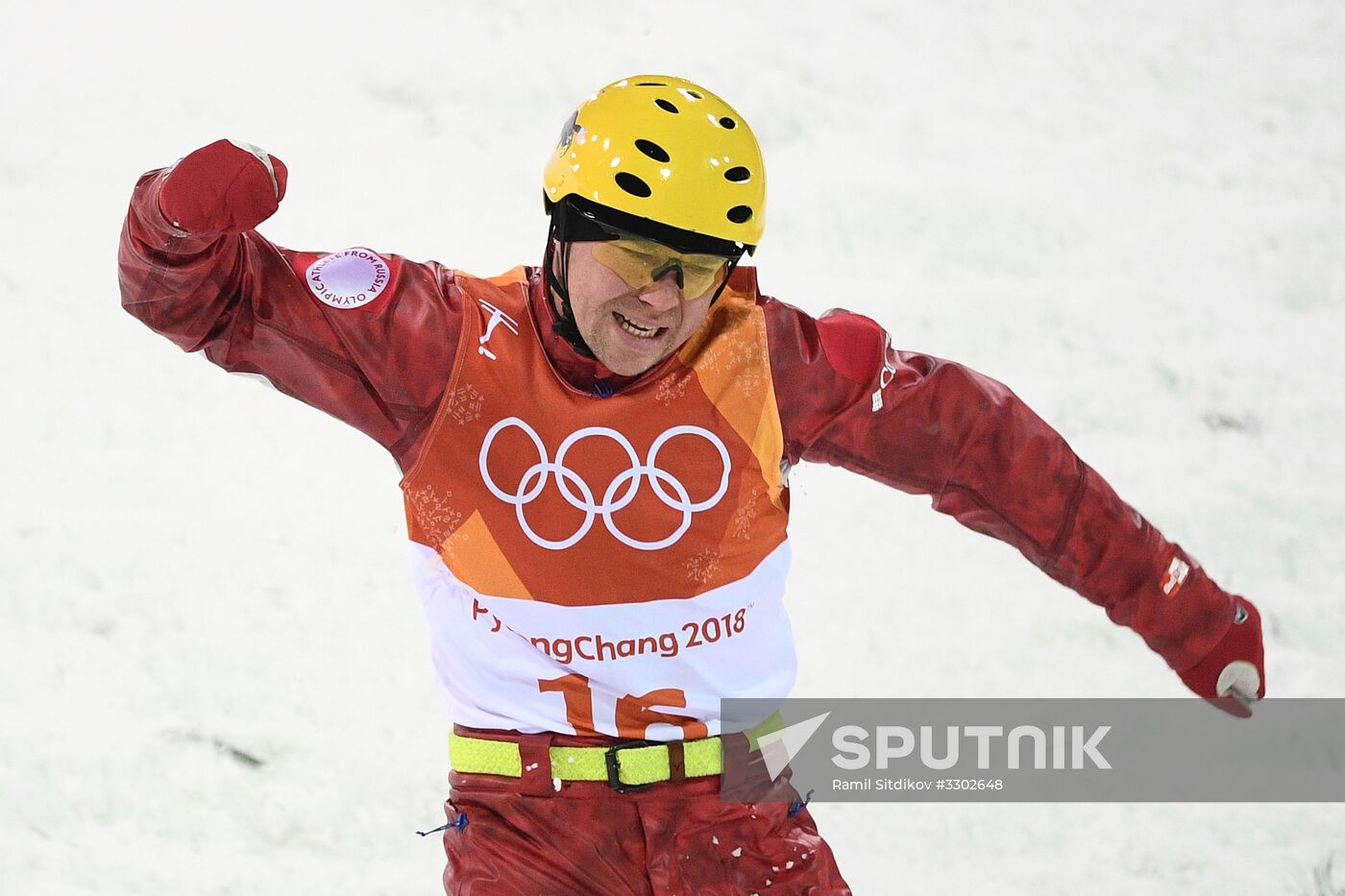 2018 Winter Olympics. Freestyle. Men. Aerials
