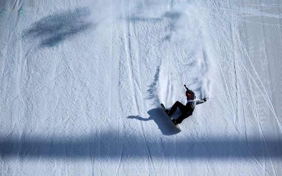2018 Winter Olympics. Snowboarding. Men. Big air. Qualification