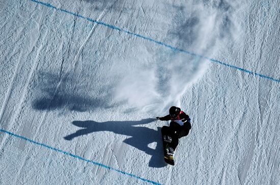 2018 Winter Olympics. Snowboarding. Men. Big air. Qualification