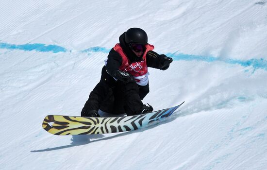 2018 Winter Olympics. Snowboarding. Men. Big air. Qualification