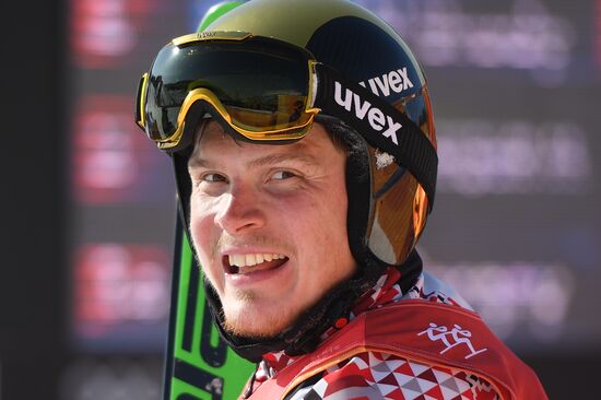 2018 Winter Olympics. Freestyle skiing. Men. Ski cross