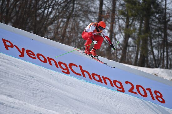 2018 Winter Olympics. Freestyle skiing. Men. Ski cross