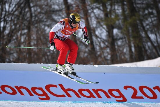 2018 Winter Olympics. Freestyle skiing. Men. Ski cross