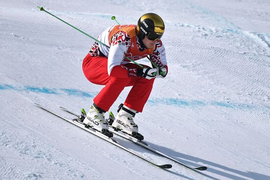 2018 Winter Olympics. Freestyle skiing. Men. Ski cross