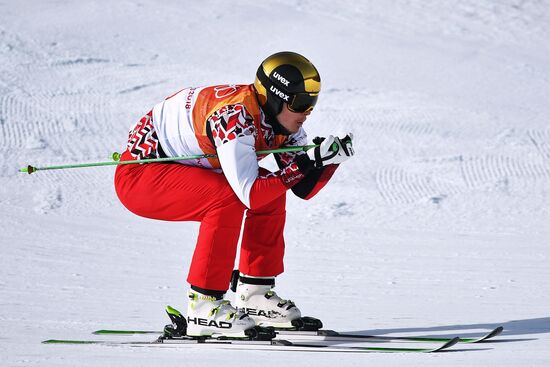 2018 Winter Olympics. Freestyle skiing. Men. Ski cross