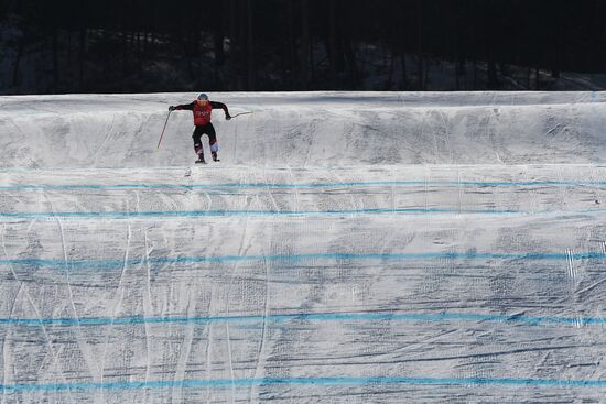 2018 Winter Olympics. Freestyle skiing. Men. Ski cross