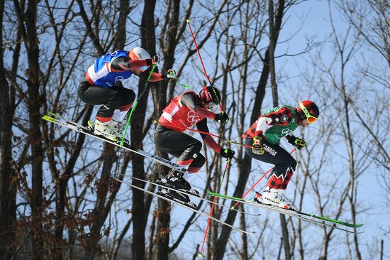 2018 Winter Olympics. Freestyle skiing. Men. Ski cross