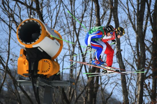 2018 Winter Olympics. Freestyle skiing. Men. Ski cross