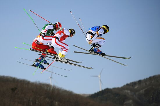 2018 Winter Olympics. Freestyle skiing. Men. Ski cross