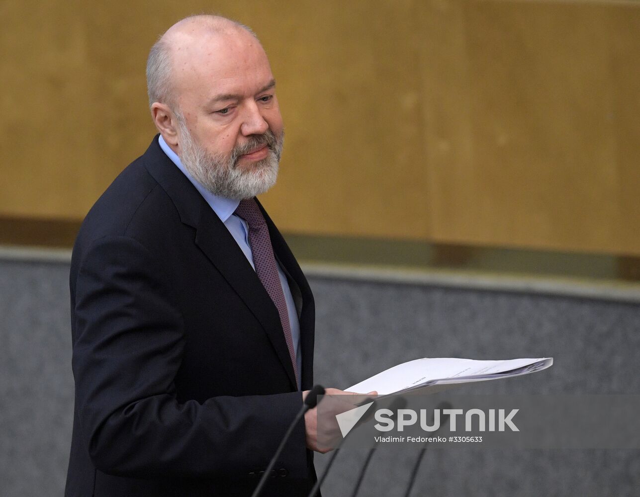 State Duma plenary session