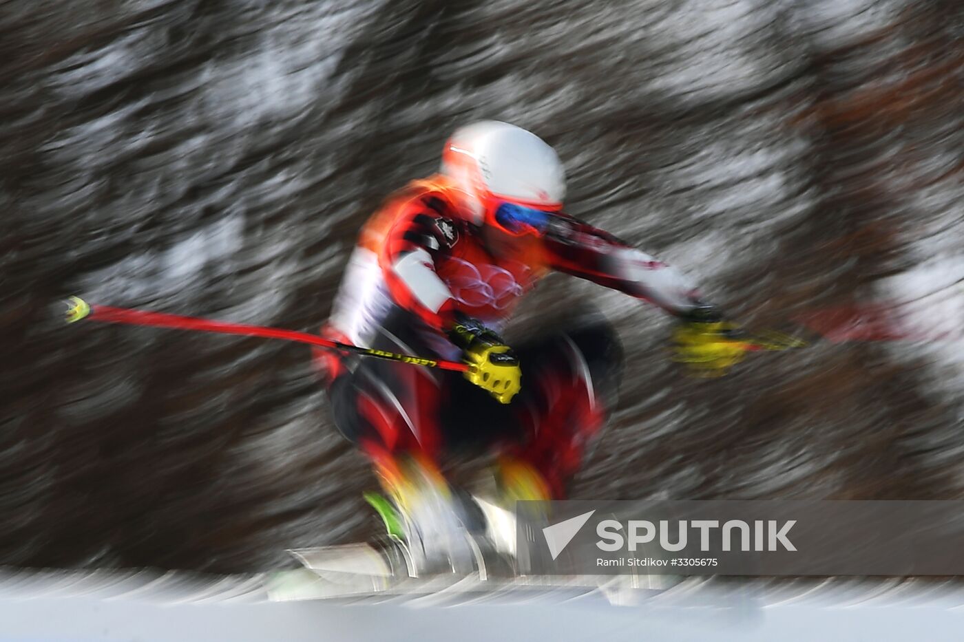 2018 Winter Olympics. Freestyle skiing. Men. Ski cross