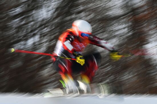 2018 Winter Olympics. Freestyle skiing. Men. Ski cross