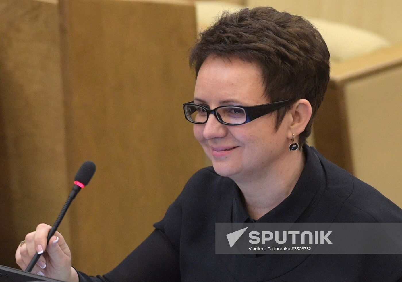 State Duma plenary meeting