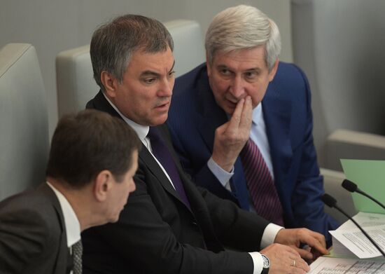 State Duma plenary meeting