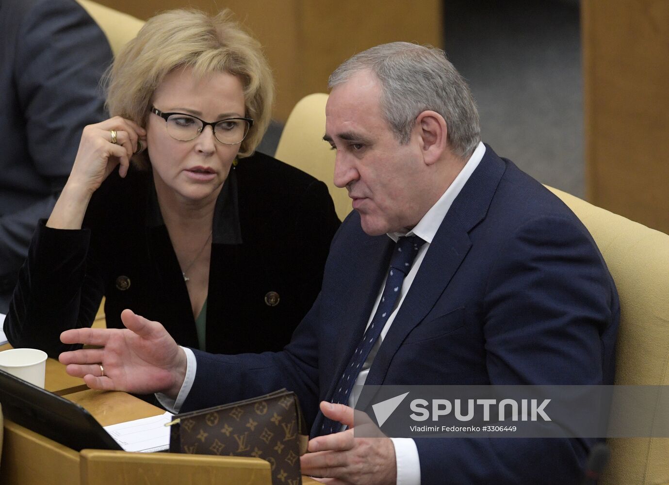 State Duma plenary meeting