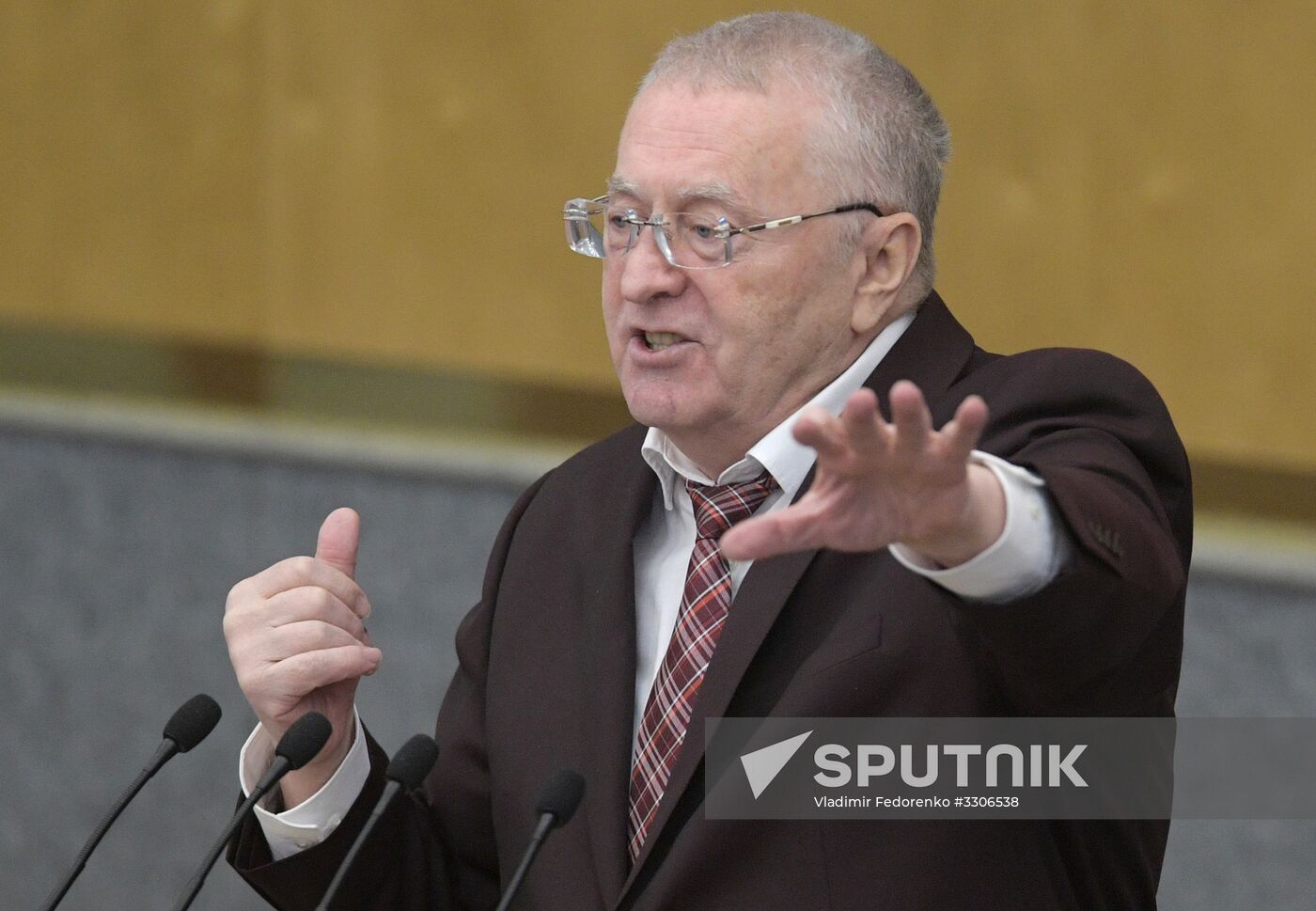 State Duma plenary meeting