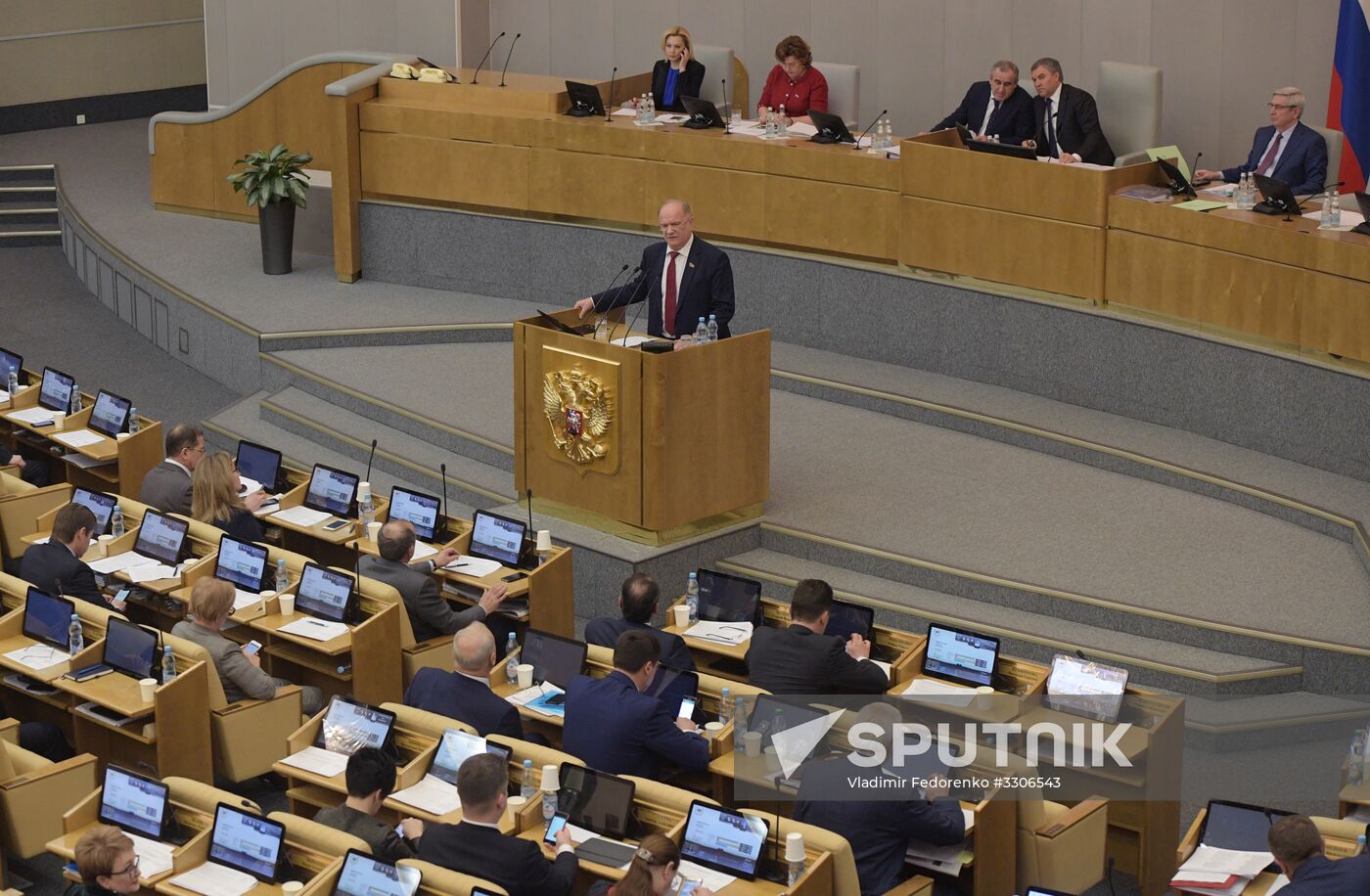 State Duma plenary meeting