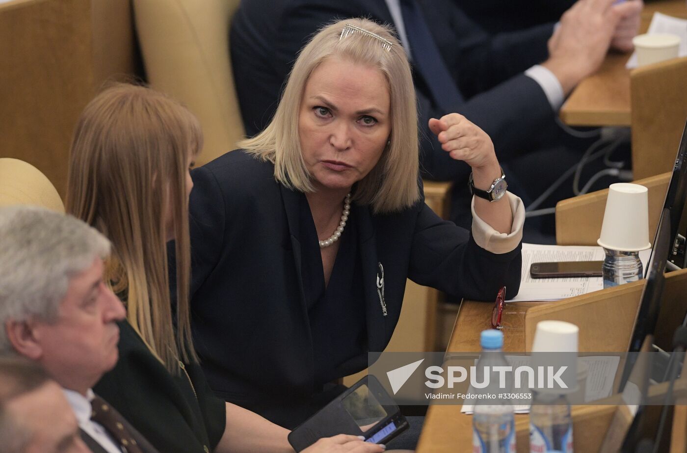 State Duma plenary meeting