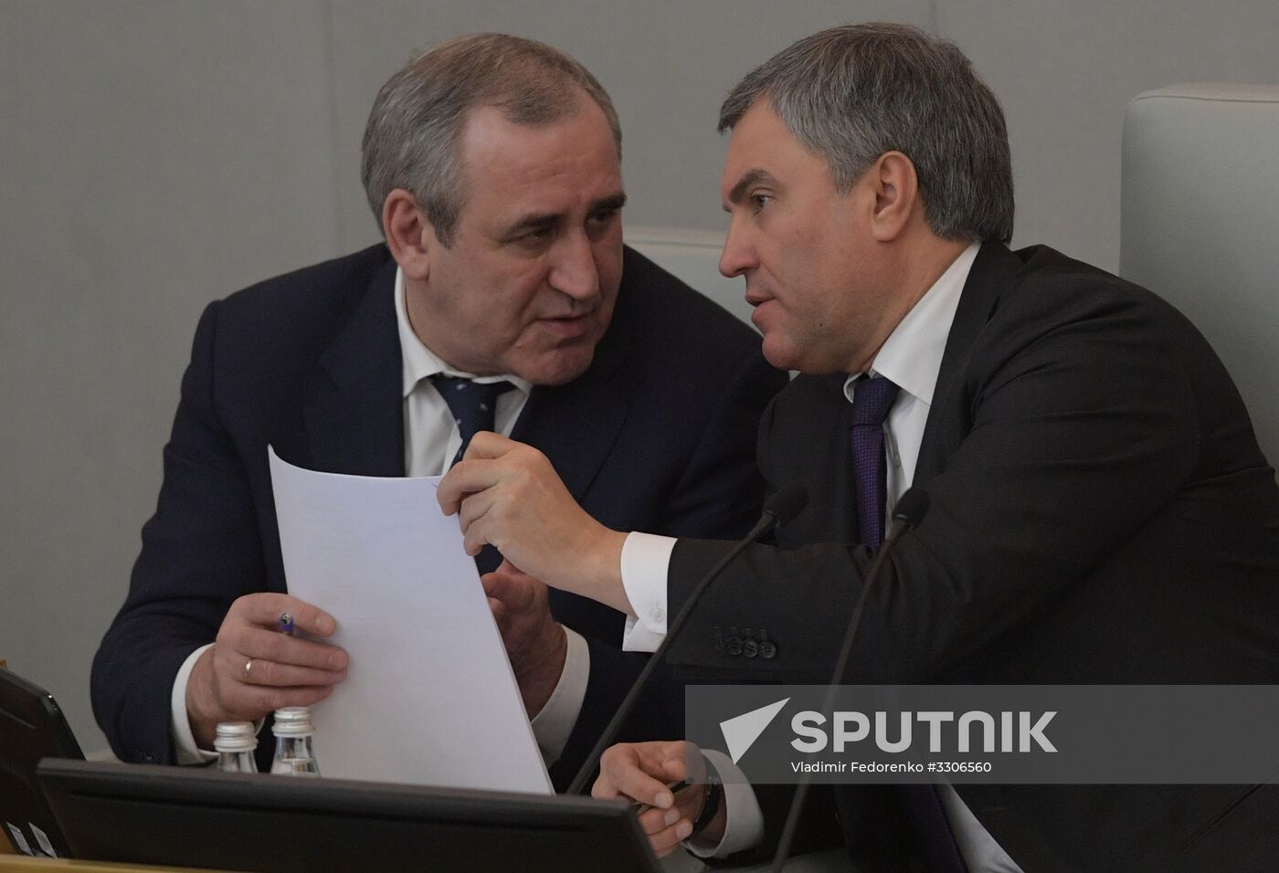 State Duma plenary meeting