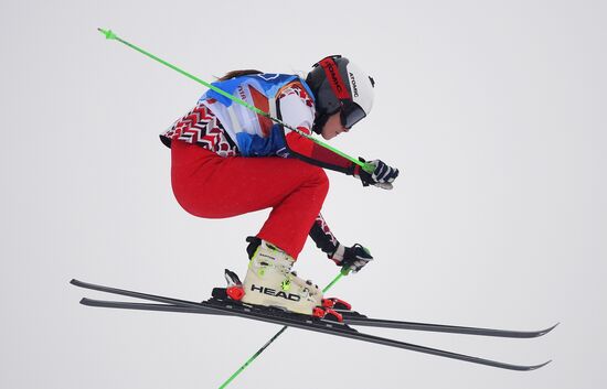 2018 Winter Olympics. Freestyle skiing. Women. Ski cross