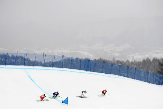 2018 Winter Olympics. Freestyle skiing. Women. Ski cross