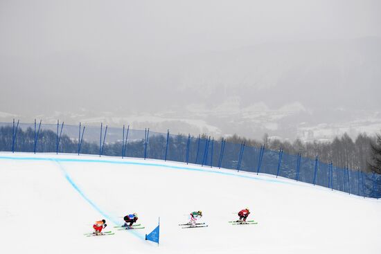 2018 Winter Olympics. Freestyle skiing. Women. Ski cross