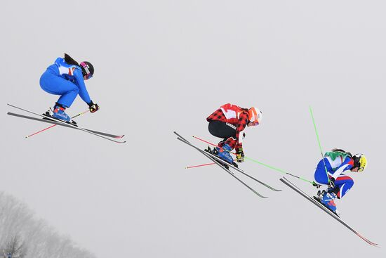 2018 Winter Olympics. Freestyle skiing. Women. Ski cross