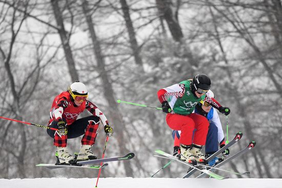 2018 Winter Olympics. Freestyle skiing. Women. Ski cross