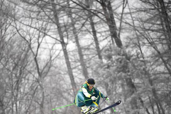 2018 Winter Olympics. Freestyle skiing. Women. Ski cross