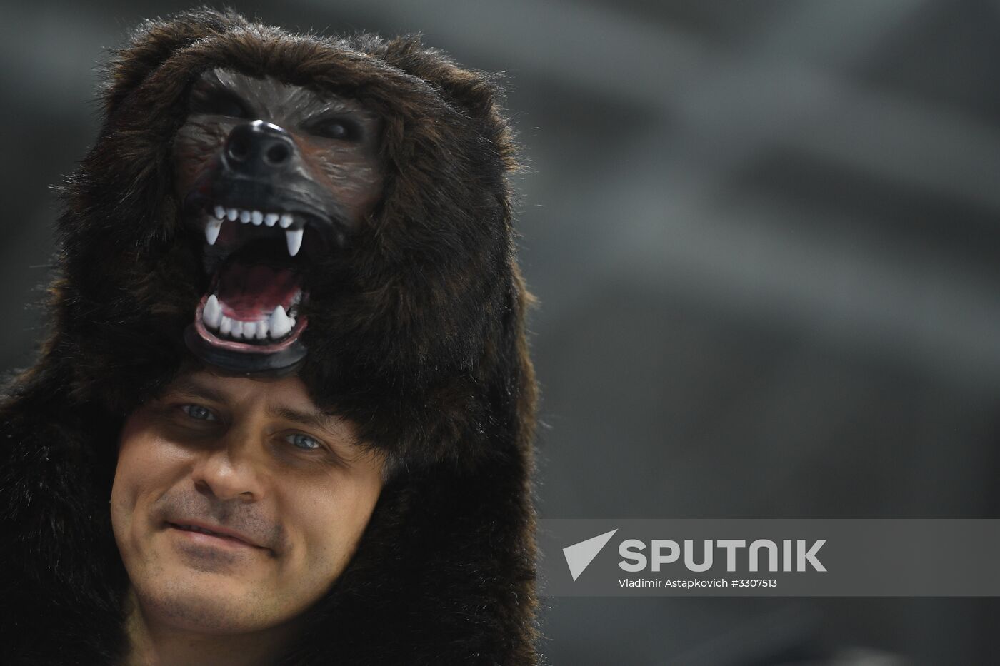 2018 Winter Olympics. Ice hockey. Men. Czech Republic vs. Russia