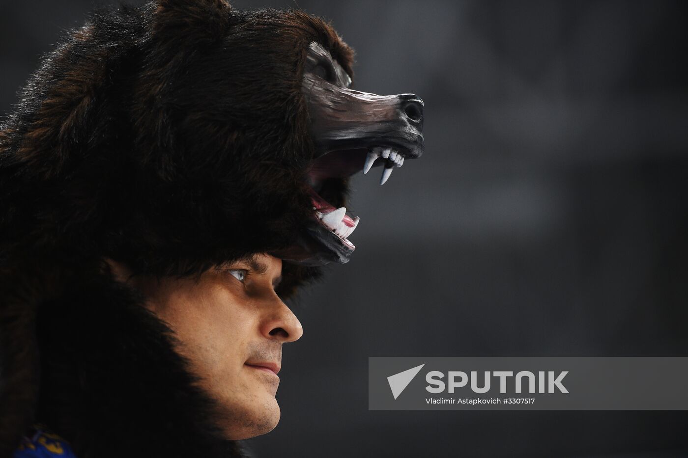 2018 Winter Olympics. Ice hockey. Men. Czech Republic vs. Russia