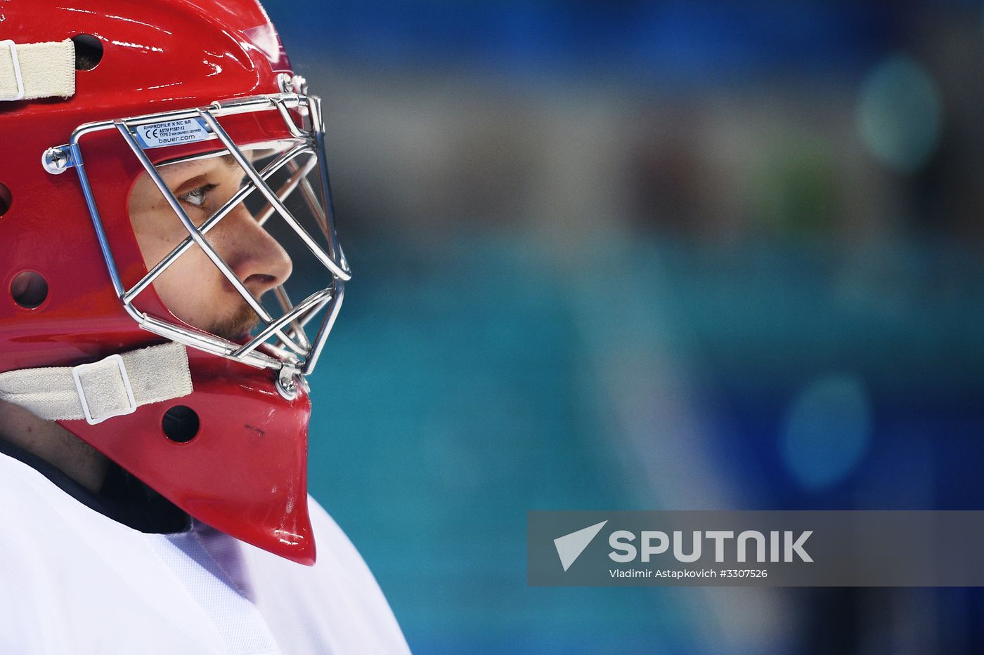 2018 Winter Olympics. Ice hockey. Men. Czech Republic vs. Russia