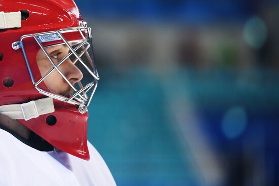 2018 Winter Olympics. Ice hockey. Men. Czech Republic vs. Russia