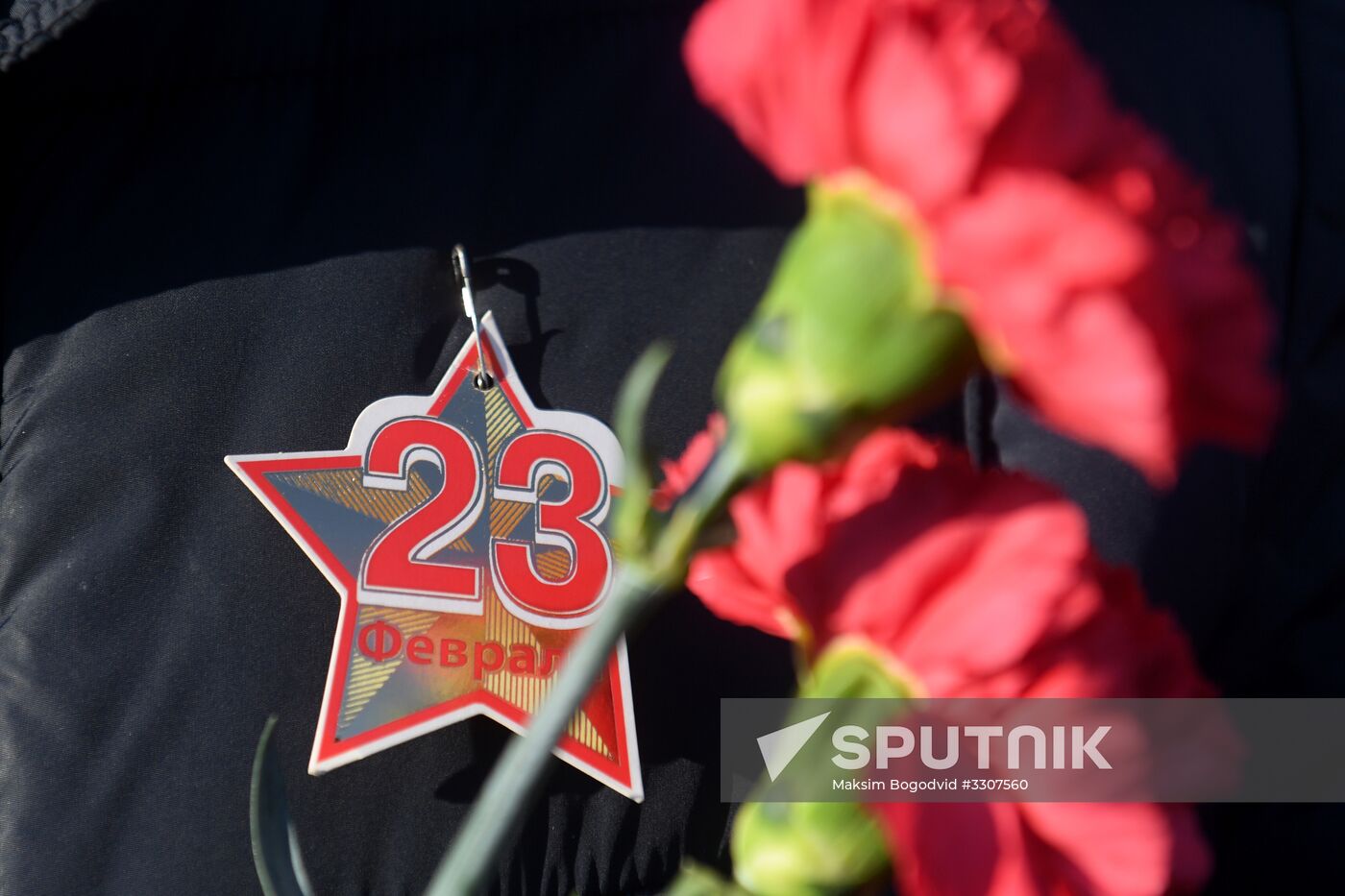 Defender of the Fatherland Day in Russian regions