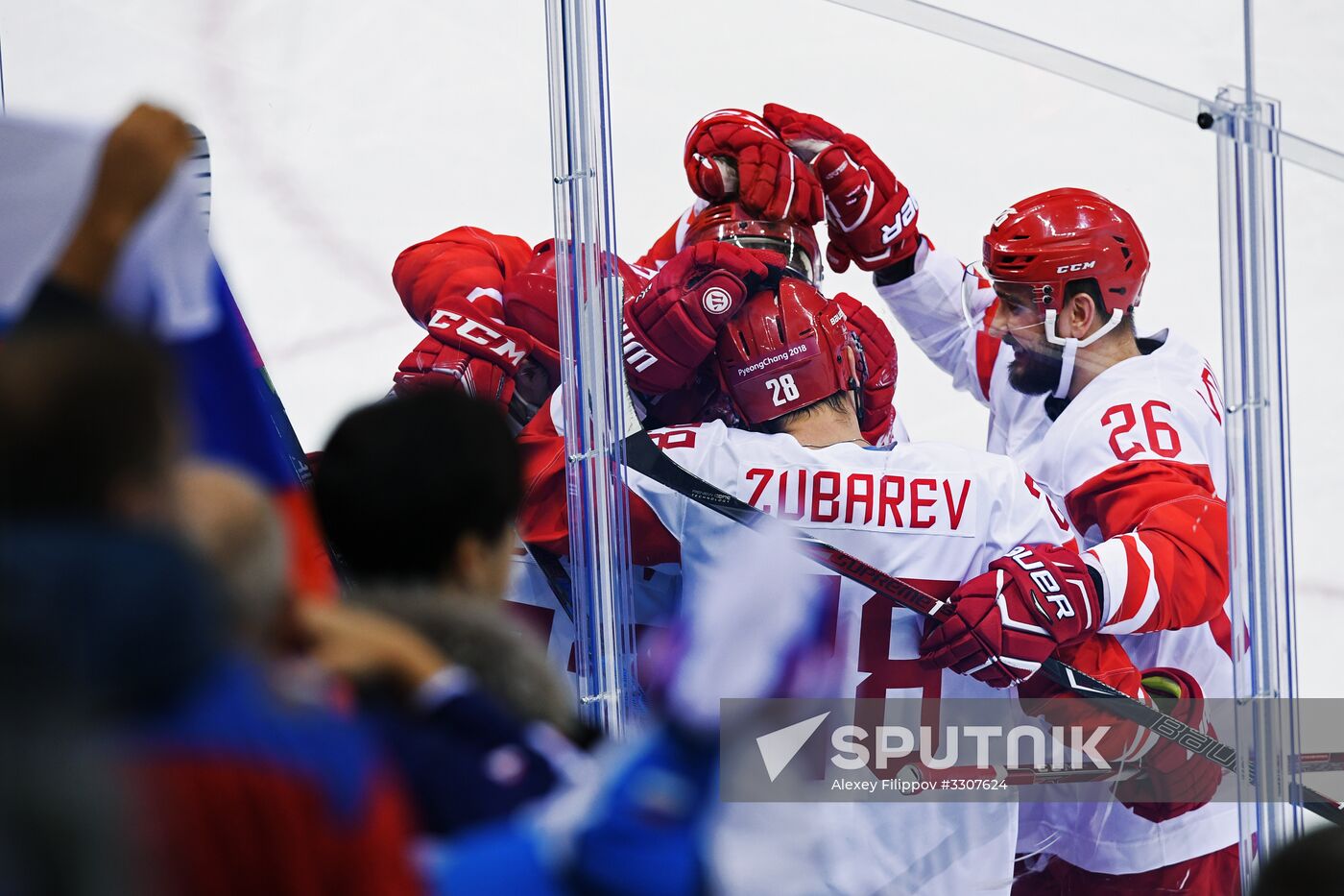 2018 Winter Olympics. Ice hockey. Men. Czech Republic vs. Russia