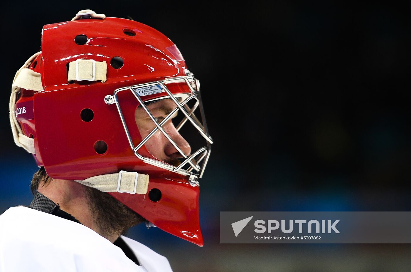 2018 Winter Olympics. Ice hockey. Men. Czech Republic vs. Russia