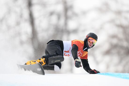 2018 Winter Olympics. Snowboarding. Men. Parallel giant slalom