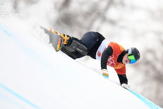 2018 Winter Olympics. Snowboarding. Men. Parallel giant slalom