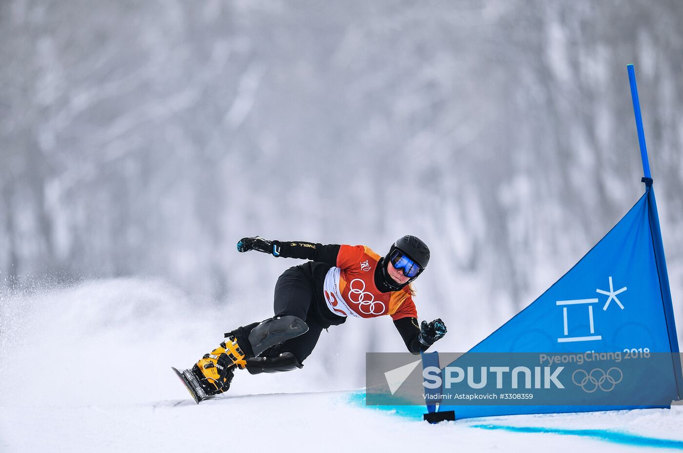 2018 Winter Olympics. Snowboarding. Women. Parallel giant slalom