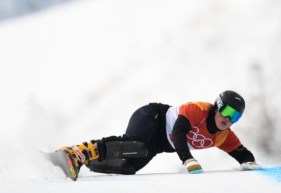 2018 Winter Olympics. Snowboarding. Men. Parallel giant slalom