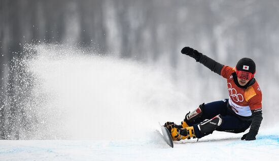 2018 Winter Olympics. Snowboarding. Men. Parallel giant slalom