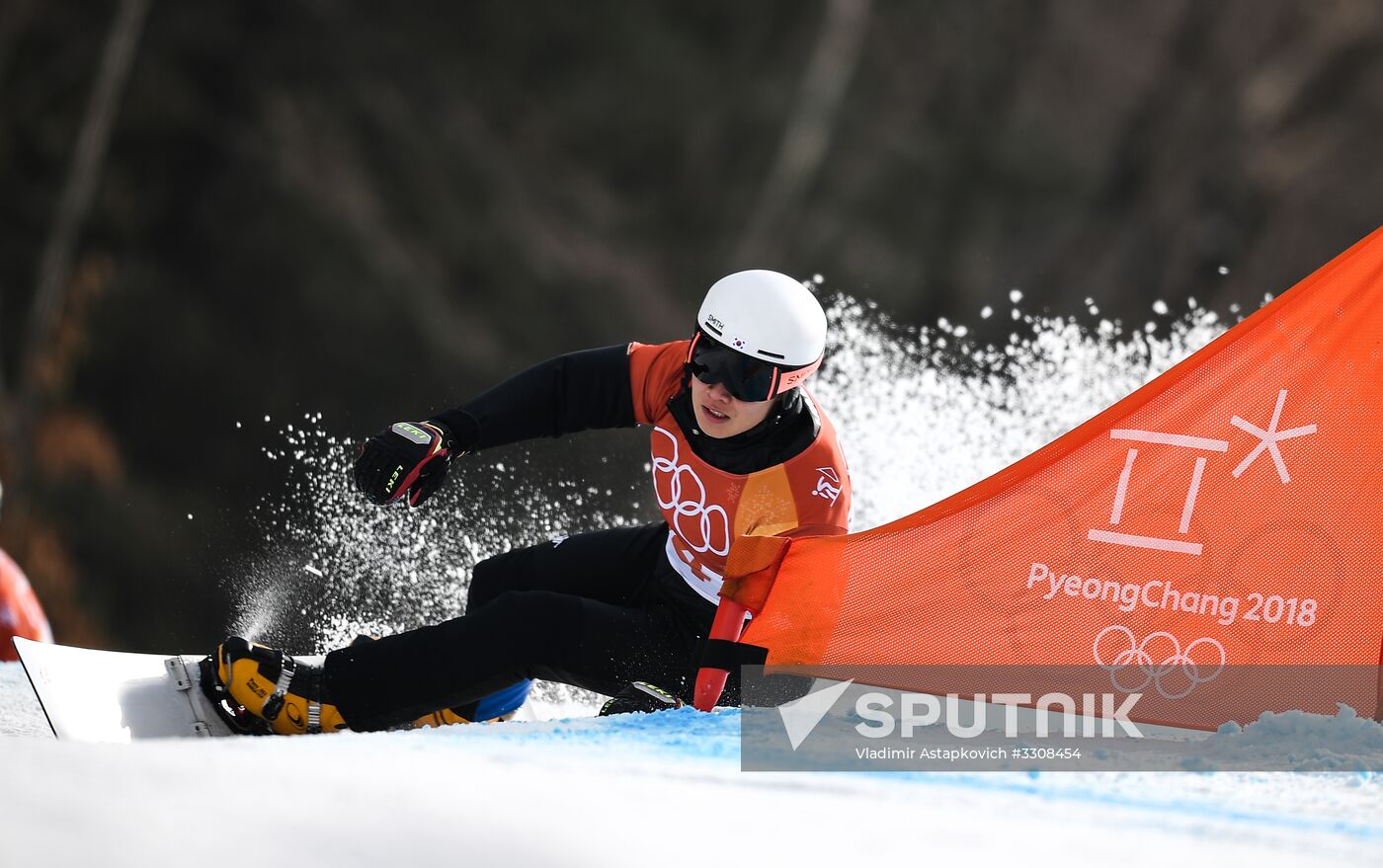 2018 Winter Olympics. Snowboarding. Men. Parallel giant slalom
