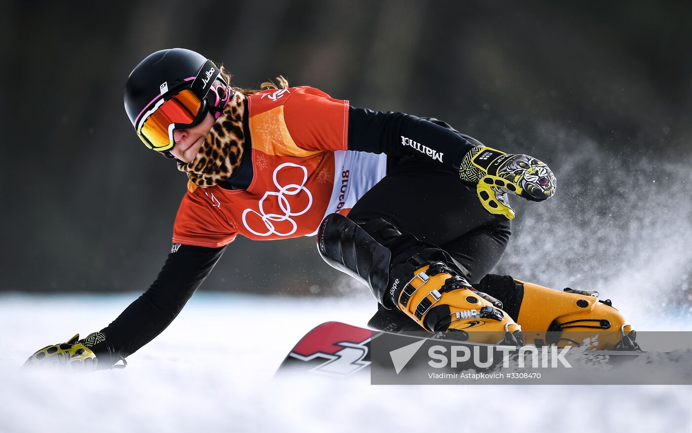 2018 Winter Olympics. Snowboarding. Women. Parallel giant slalom