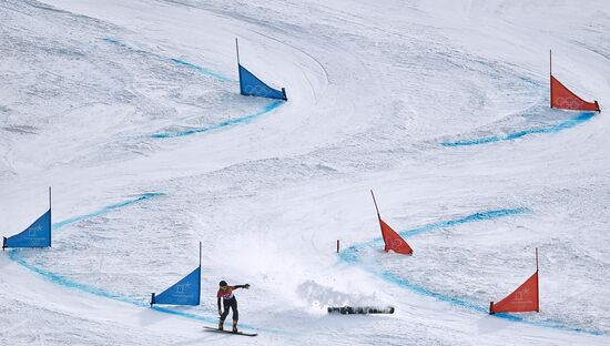 2018 Winter Olympics. Snowboarding. Women. Parallel giant slalom