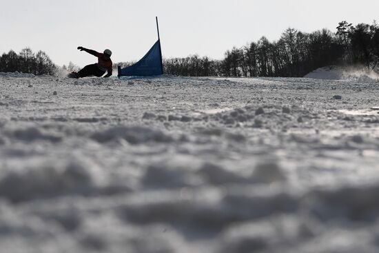 2018 Winter Olympics. Snowboarding. Men. Parallel giant slalom