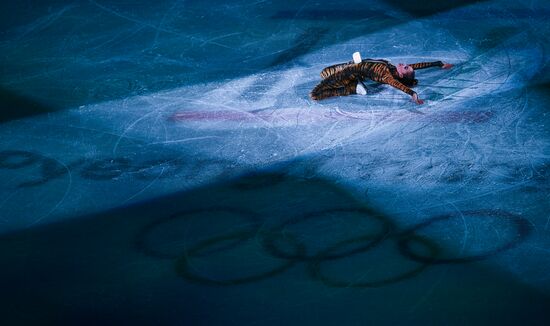 2018 Winter Olympics. Figure skating. Exhibition gala