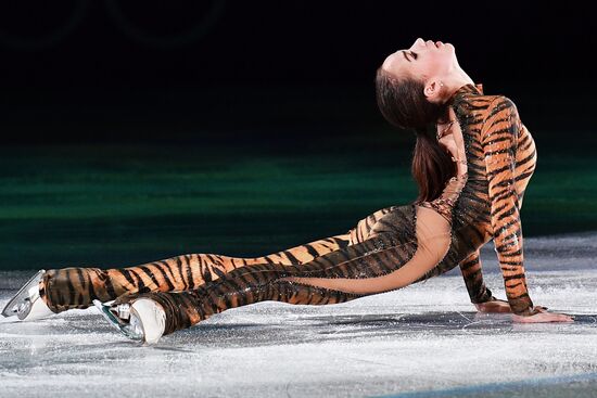 2018 Winter Olympics. Figure skating. Exhibition gala