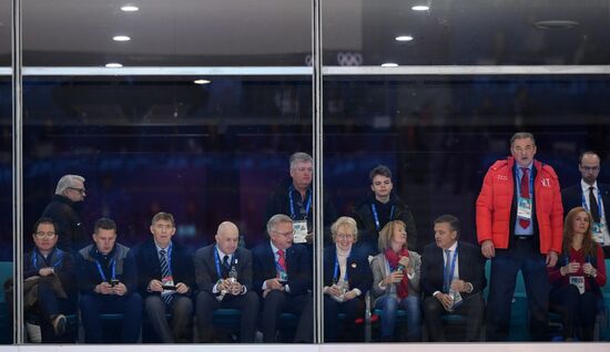 2018 Winter Olympics. Hockey. Men. Final